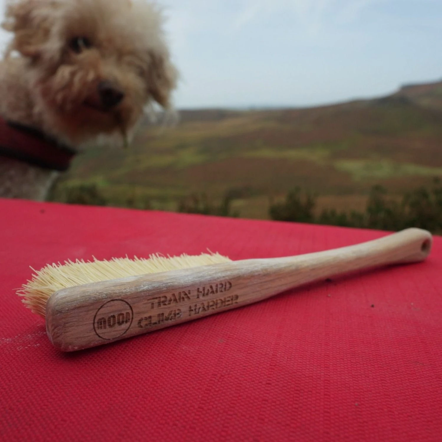 Moon Voyager Brush 12 Moon Voyager Brush - Image 10