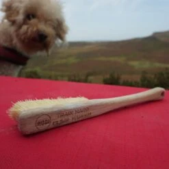 Moon Voyager Pro Brush -Wild Country Area 001 bp 2572 13 25 05 48 copy d3610339 73ab 4eb3 998a d07e7e3b3cd8