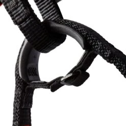 Mammut Sender Harness -Wild Country Area 2020 00970 2196 det 4
