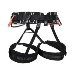 Mammut 4 Slide Harness -Wild Country Area 2020 01020 0001 back 173714