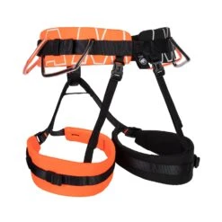 Mammut 4 Slide Harness -Wild Country Area 2020 01020 2238 back