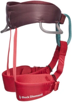 Black Diamond Momentum Kids Harness -Wild Country Area 2d7c30be 5de6 4c53 8a90 200c8e809db9651103 6012 MOMENTUMHARNESS KIDS WildRose Profile