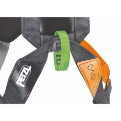 Petzl Simba Kids Harness -Wild Country Area C065BA SIMBA CLIMBING focus 4 HighRes