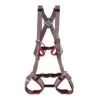 DMM Tom Kitten Kids Full Body Harness 2 DMM Tom Kitten Kids Full Body Harness -Wild Country Area c63 12073 tomk tom kitten kids full body harness